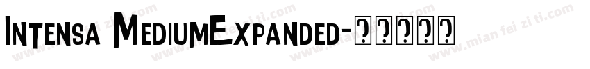 Intensa MediumExpanded字体转换